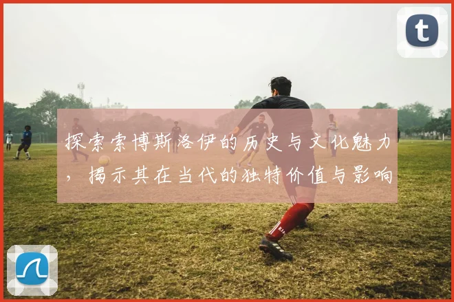 探索索博斯洛伊的历史与文化魅力，揭示其在当代的独特价值与影响力