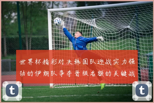 世界杯精彩对决韩国队迎战实力强劲的伊朗队争夺晋级名额的关键战役