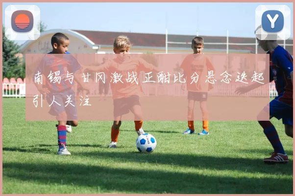 南锡与甘冈激战正酣比分悬念迭起引人关注