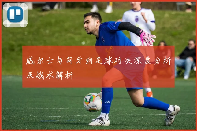威尔士与匈牙利足球对决深度分析及战术解析